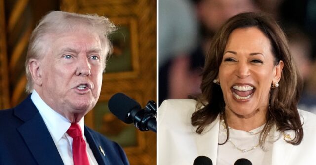 Poll: Trump Dominating Harris with White Working Class Voters Nationally