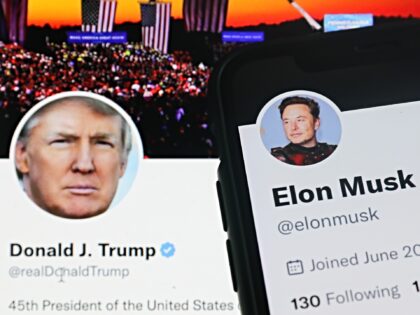 Donald Trump Twitter account displayed on a laptop screen and Elon Musk Twitter account di