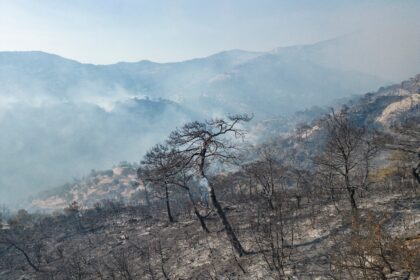 Agriculture and Forestry Minister Ibrahim Yumakli said that efforts to douse hotspots were