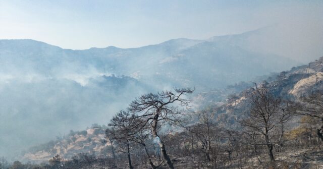 Forest Fire Forces Evacuations in Izmir, Turkey