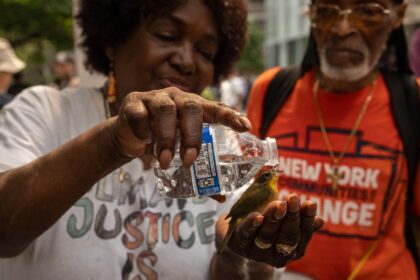 A participant gives water to a bird during a climate protest outside Citibank headquarters