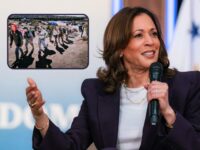 NY Times/Siena Poll: Majority of Likely Voters Blame Kamala Harris for Record Illegal Immigration a