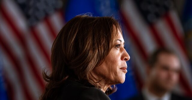 Kamala Harris Campaign Refuses to Discuss Her Amnesty Plan for Illegals