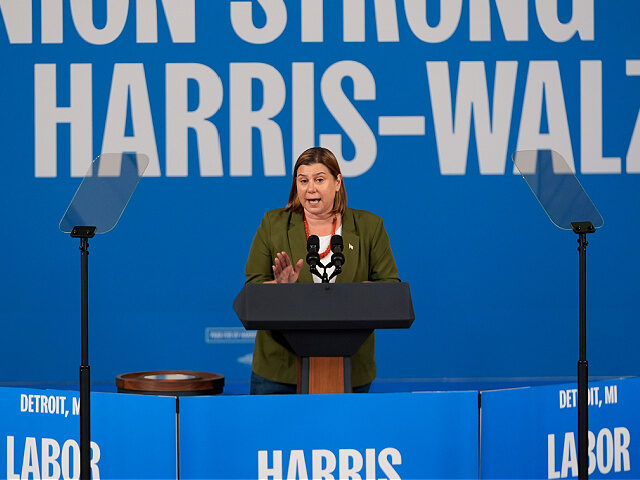 Rep. Elissa Slotkin, D-Mich., speaks before Democratic presidential nominee Vice President