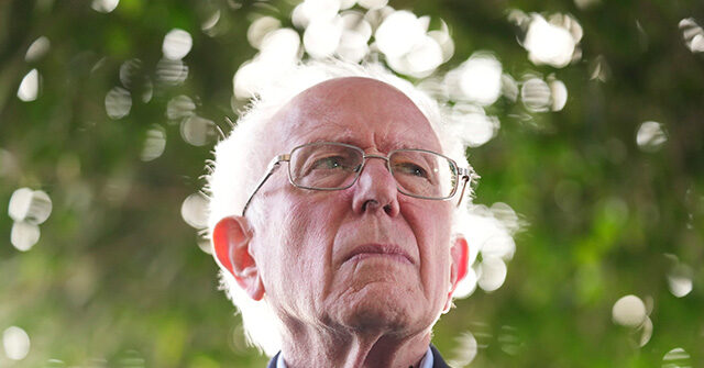 NextImg:Bernie Sanders After Assassination Attempt: 'Relieved' Trump Is Safe