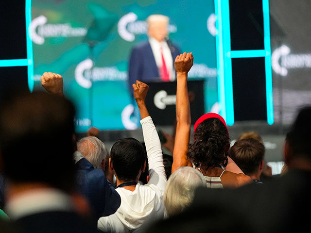 The crowd chants "Fight, Fight, Fight" as Republican presidential candidate former Preside