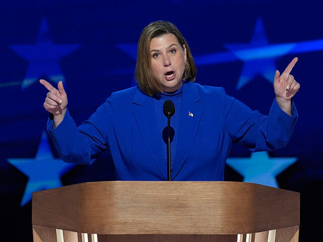 Rep. Elissa Slotkin, D-Mich., speaks during the Democratic National Convention Thursday, A