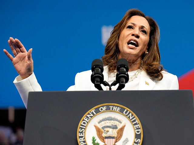 Democratic presidential nominee Vice President Kamala Harris speaks at a campaign rally in