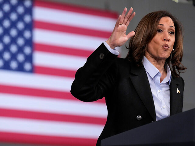 Democratic presidential nominee Vice President Kamala Harris speaks at a campaign event at