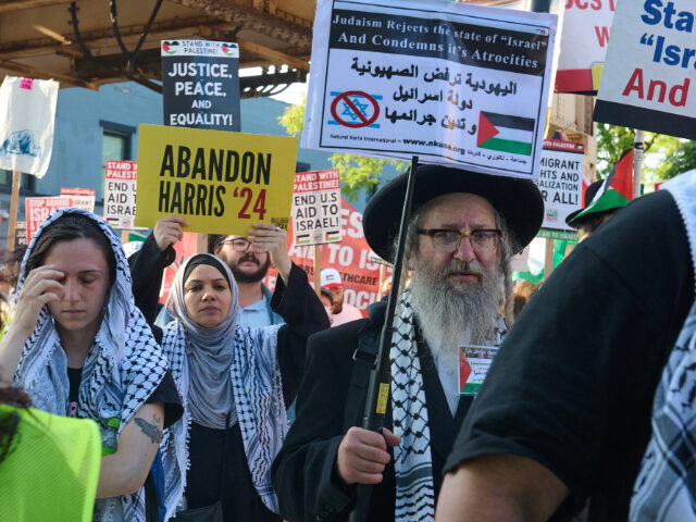 Activists-in-Chicago-Protest-the-Democratic-National-Convention