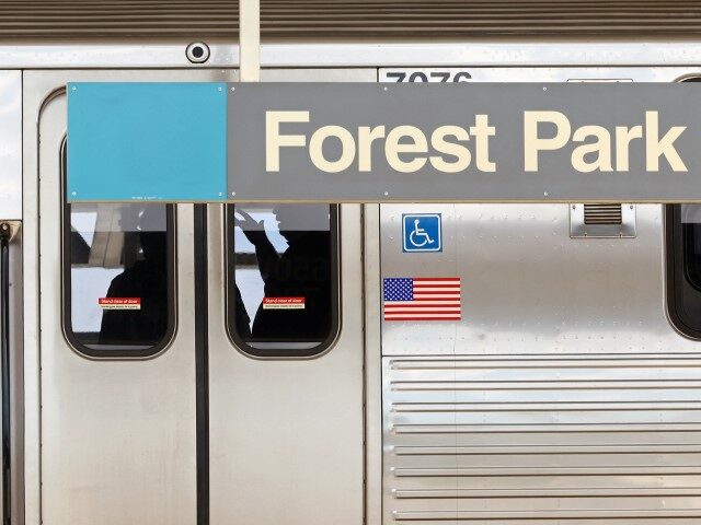 Police investigators work inside a CTA Blue Line train parked at the Forest Park station o