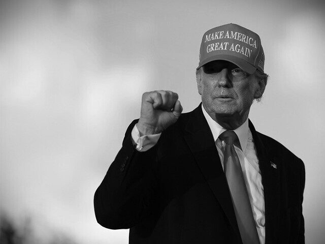 MIAMI, FLORIDA - NOVEMBER 06: Former U.S. President Donald Trump gestures during a rally f