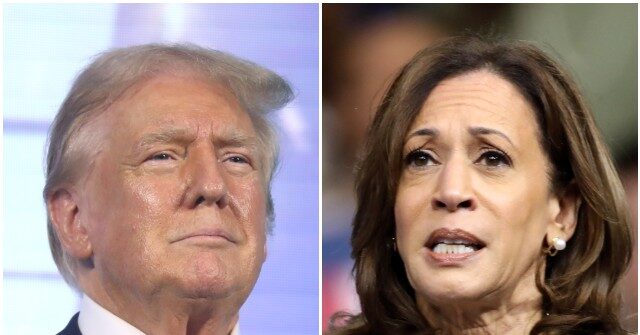 Poll: Trump Leads Harris by Three Points in Georgia