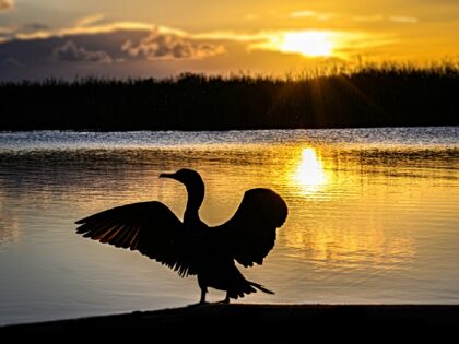 Alarmists: Florida Everglades ‘at Risk of Vanishing’ from Climate Change