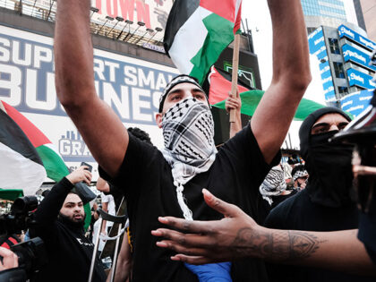 Pro Palestinian protesters face off with a group of Israel supporters and police in a viol