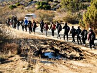 Congressional Report: Over 85% of Migrants Arriving at Southern Border Released into U.S. as Biden-