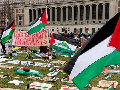 For the fifth day, pro-Palestinian students occupy a central lawn on the Columbia Universi