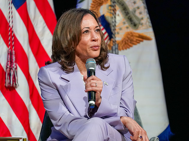 Vice President Kamala Harris speaks during The Rocket Foundation Summit on Gun Violence Pr