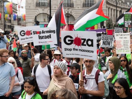 LONDON, UNITED KINGDOM - AUGUST 3: Protesters attend the demonstration as they gather at P