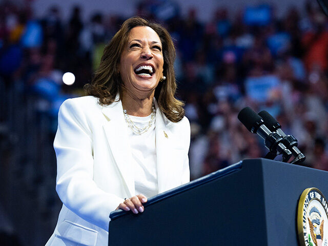 Democratic Presidential candidate US Vice President Kamala Harris speaks at a campaign ral