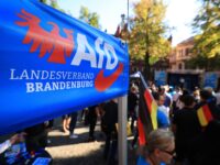 Anti-Mass Migration AfD Becomes Largest Party in East Germany After Brandenburg Elections