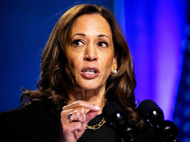 Vice President Kamala Harris during a campaign event at the Philip Chosky Theatre in Pitts