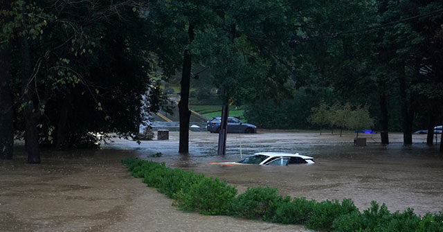 Woman, Baby, Two Dogs Rescued from Helene Floodwaters in Atlanta