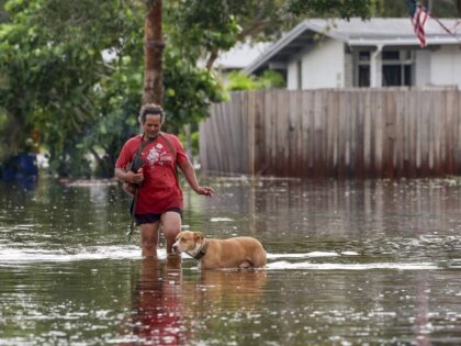 A woman walks with her dog through floodwaters from Hurricane Helene in the Shore Acres ne