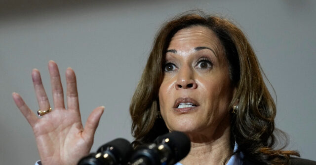 'Embarrassing': Kamala Harris Plagiarized Joe Biden's Campaign Policies for Website