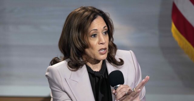 NextImg:Kamala Harris Doubles Down on Withholding Weapons from Israel