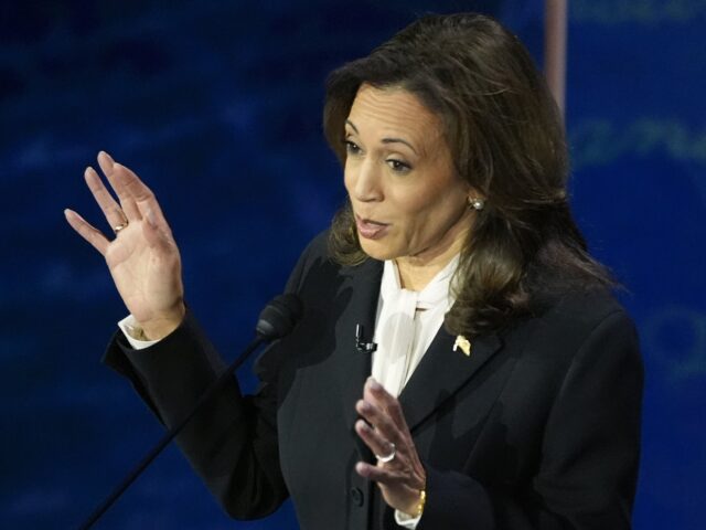 Democratic presidential nominee Vice President Kamala Harris speaks during a presidential