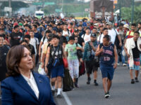 Trump Slams Kamala Harris Visit to Border ‘After Four Straight Years of Obliterating’ I