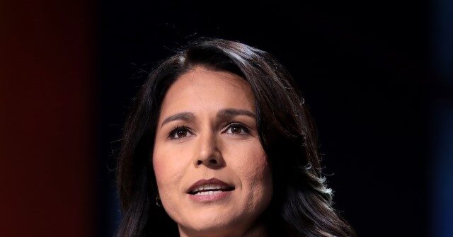 Tulsi Gabbard: ‘A Vote for Kamala Harris Is a Vote for Dick Cheney’