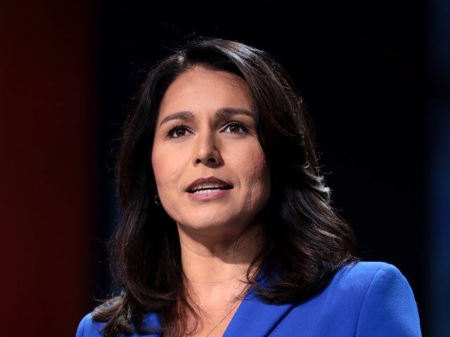 U.S. Congresswoman Tulsi Gabbard speaking with attendees at the 2019 California Democratic