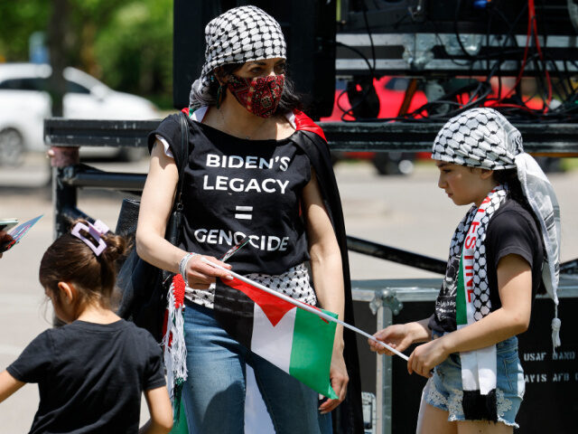 Pro-Palestinian demonstrators protest in Dearborn, Michigan as US President Joe Biden atte