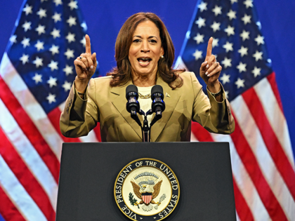 PHILADELPHIA, PENNSYLVANIA - JULY 13: Vice President Kamala Harris speaks during a campaig