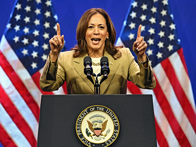 PHILADELPHIA, PENNSYLVANIA - JULY 13: Vice President Kamala Harris speaks during a campaig