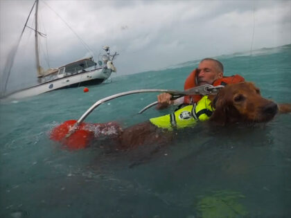 coast guard rescues dog and man