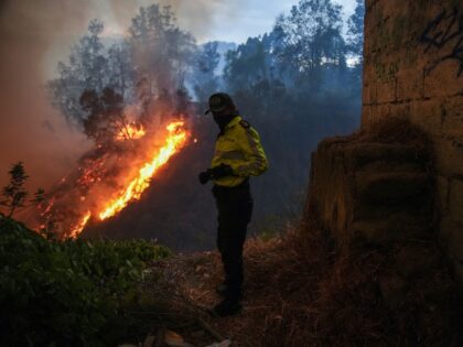 Fires burn in a forested area in the Guapulo neighborhood of Quito, Ecuador, Tuesday, Sept