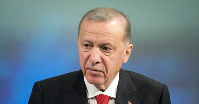 Erdogan affirms Turkey's support for Ukraine, calls for return of Crimea