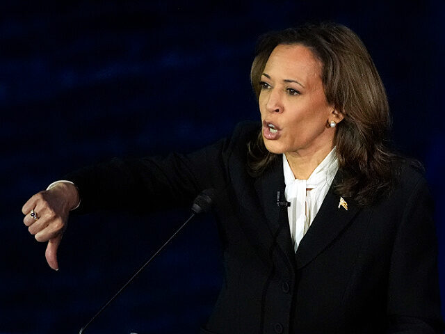 Democratic presidential nominee Vice President Kamala Harris gestures as she speaks during