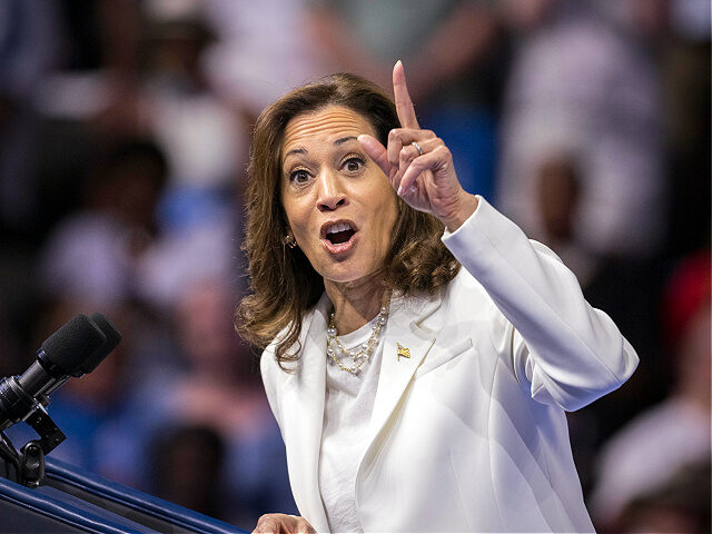 Democratic presidential nominee Vice President Kamala Harris speaks at a campaign rally Th