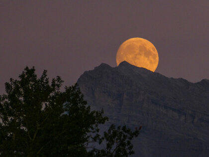 harvest moon