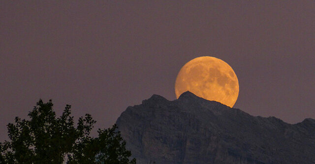 NextImg:Full 'Harvest' Moon and Partial Lunar Eclipse Will Awe Viewers on Tuesday