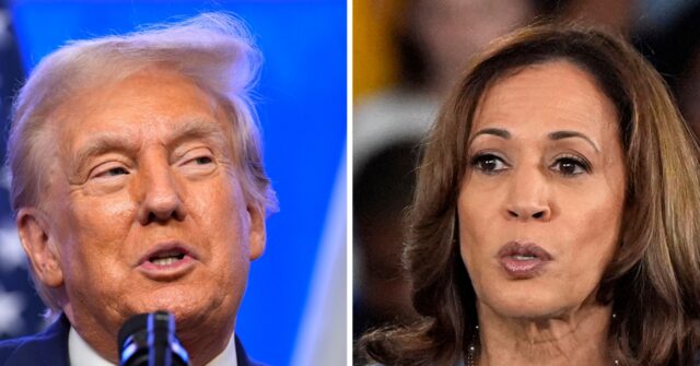 Trump Clobbers Harris in Every Swing State on the Economy 