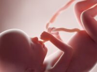 Media Admit Babies Are Aborted Weeks Before Birth Because They Are ‘Unwanted’