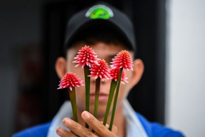 Colombia's Inirida flower has been chosen as the emblem of a UN biodiversity conference to