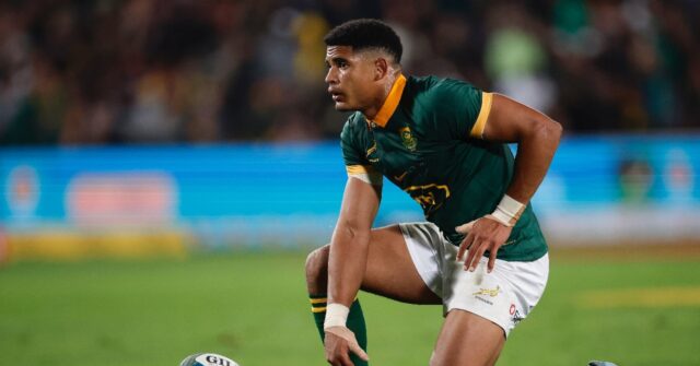 Springboks Split Squad for Argentina Tests