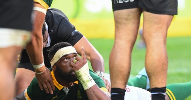 South Africa Beats New Zealand in Rugby Championship