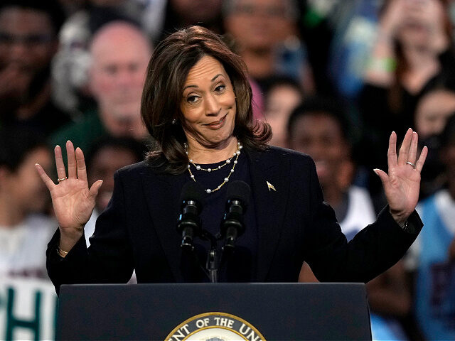 Democratic presidential nominee Vice President Kamala Harris speaks during a community ral